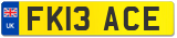 FK13 ACE