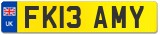 FK13 AMY