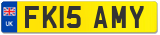 FK15 AMY