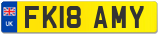 FK18 AMY