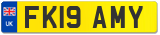 FK19 AMY