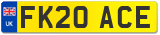 FK20 ACE