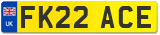 FK22 ACE