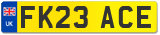 FK23 ACE
