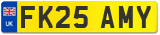 FK25 AMY