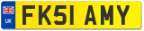 FK51 AMY