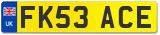 FK53 ACE