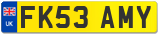 FK53 AMY