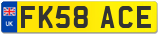 FK58 ACE