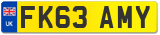 FK63 AMY