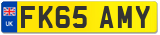 FK65 AMY