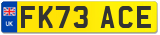 FK73 ACE
