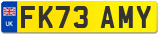 FK73 AMY