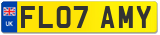FL07 AMY