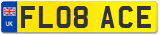 FL08 ACE