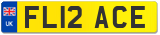 FL12 ACE