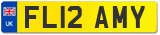 FL12 AMY