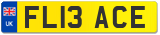 FL13 ACE