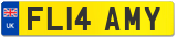 FL14 AMY