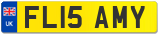 FL15 AMY