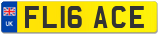 FL16 ACE