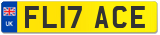 FL17 ACE