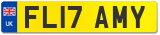 FL17 AMY
