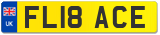 FL18 ACE