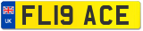 FL19 ACE