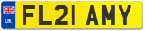 FL21 AMY