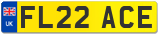 FL22 ACE