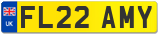 FL22 AMY