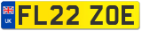 FL22 ZOE