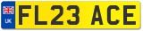 FL23 ACE