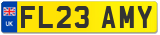 FL23 AMY