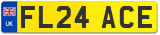 FL24 ACE