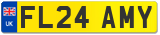 FL24 AMY