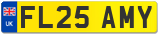 FL25 AMY