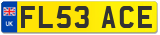 FL53 ACE