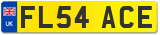 FL54 ACE