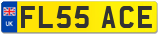 FL55 ACE