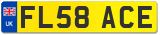 FL58 ACE