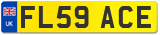 FL59 ACE