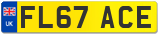 FL67 ACE