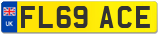 FL69 ACE