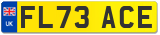 FL73 ACE