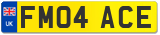 FM04 ACE