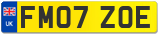 FM07 ZOE