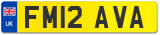 FM12 AVA