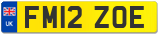 FM12 ZOE